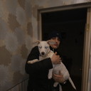 ���������� ���������, ���� ������� �����, 38 ���, ������������ ��� ������, ����� � ���������, c�������� ���������