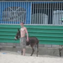  ,   Kostia, 40 ,   ,   , c 