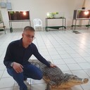  ,   , 29 ,     , c 