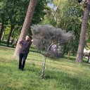  ,   , 53 ,   ,   , c , 