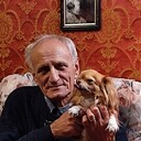  -,   , 82 ,   ,   