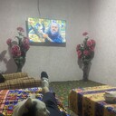 ���������� ������, ���� ������� ���������, 35 ���, ������������ ��� ������, ���������