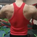 ���������� �������, ���� ������� ��������, 36 ���, ������������ ��� ����� � ���������, c�������� ���������