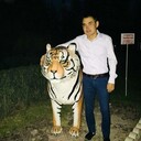 ���������� ������, ���� ������� �����, 33 ����, ������������ ��� ������, ����� � ���������