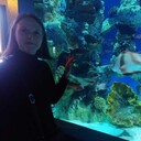 ���������� �����-���������, ���� ������� ���������, 40 ���, ������������ ��� ����� � ���������, c�������� ���������