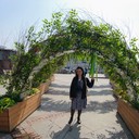  ,   , 48 ,   ,   , c 