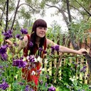 ���������� ������, ���� ������� ����, 46 ���, ������������ ��� ����� � ���������, c�������� ���������