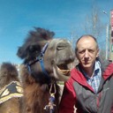 ���������� ������, ���� ������� �������, 54 ����, ������������ 