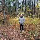  ,   , 61 ,   ,   