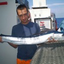 ���������� ���������, ���� ������� ������, 36 ���, ������������ ��� ����� � ���������, c�������� ���������