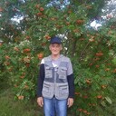  ,   , 59 ,     