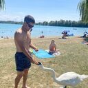  Pirmasens,   , 34 ,     , c , 