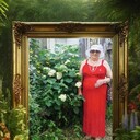 ���������� �����������, ���� ������� ��������, 71 ���, ������������ ��� ������, ����� � ���������