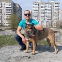 ���������� ����, ���� ������� ����, 41 ���, ������������ ��� ������, ����� � ���������, c�������� ���������