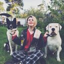 ���������� ������, ���� ������� ���������, 22 ����, ������������ ��� ����� � ���������, c�������� ���������