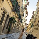 ���������� ������, ���� ������� ����, 42 ����, ������������ 