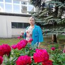  -,   , 48 ,   ,   