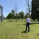 ���������� ���������, ���� ������� �������, 36 ���, ������������ ��� ������, ����� � ���������, c�������� ���������