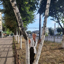  ,   , 54 ,  