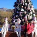 ���������� ������, ���� ������� ����, 60 ���, ������������ ��� c�������� ���������