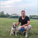  --,   , 28 ,   ,   , c , 