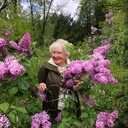 ���������� �������, ���� ������� ��������, 64 ����, ������������ ��� ������, ����� � ���������