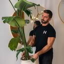 ���������� ������, ���� ������� �����, 33 ����, ������������ ��� ������, ����� � ���������, c�������� ���������, ���������