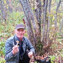 ���������� ���������, ���� ������� �������, 37 ���, ������������ ��� c�������� ���������, ���������