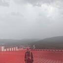 ���������� ��������, ���� ������� �����, 36 ���, ������������ ��� ������, ����� � ���������, c�������� ���������, ���������