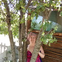  ,   , 56 ,     , c 