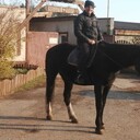 ���������� ������, ���� ������� ���������, 46 ���, ������������ ��� ������, ����� � ���������, c�������� ���������, ���������