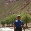  ,   Nur88, 37 ,     , c 