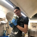 ���������� �����, ���� ������� ������, 31 ���, ������������ ��� ����� � ���������, c�������� ���������