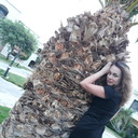 ���������� ������, ���� ������� ���, 38 ���, ������������ ��� ������, ����� � ���������, c�������� ���������