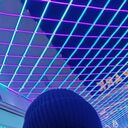 ���������� ���������, ���� ����� ������, 25 ���, ������������ ��� ������, ����� � ���������