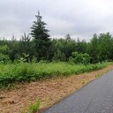 ���������� �����, ���� ������� �����, 40 ���, ������������ ��� ������, ����� � ���������, c�������� ���������