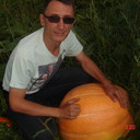  ,   , 59 ,   