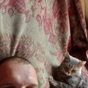 ���������� ���������, ���� ������� �����, 37 ���, ������������ ��� ����� � ���������, c�������� ���������