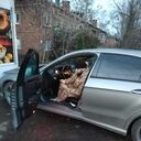 ���������� ������, ���� ������� �����, 36 ���, ������������ ��� ������, ����� � ���������