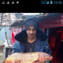 ���������� ���������, ���� ������� ����, 38 ���, ������������ ��� ������, ����� � ���������, c�������� ���������