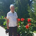  ,   Infinix, 60 ,   ,   