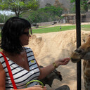 ���������� �����-���������, ���� ������� �����, 51 ���, ������������ ��� ����� � ���������, c�������� ���������