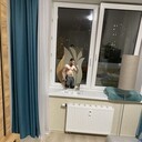  ,   , 25 ,   ,   , c , 