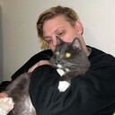  ,   German, 29 ,   ,   , 