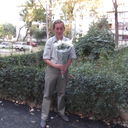 ���������� �������, ���� ������� Vitalion, 48 ���, ������������ ��� ������