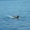  ,   , 42 ,   ,   , c , 