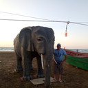  ,   Nasib, 41 ,   ,   , c 