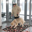 ���������� ��������, ���� ������� ������, 57 ���, ������������ ��� ������, ����� � ���������, c�������� ���������