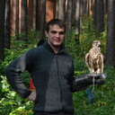 ���������� ���������, ���� ������� ���, 38 ���, ������������ ��� ������, ����� � ���������, c�������� ���������