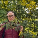 ���������� ������, ���� ������� ��������, 58 ���, ������������ 